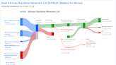 African Rainbow Minerals Ltd's Dividend Analysis
