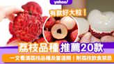 荔枝品種〡一文看清20款荔枝品種推薦/當造季節！桂味/妃子笑/糯米糍（附荔枝禁忌+保存攻略）