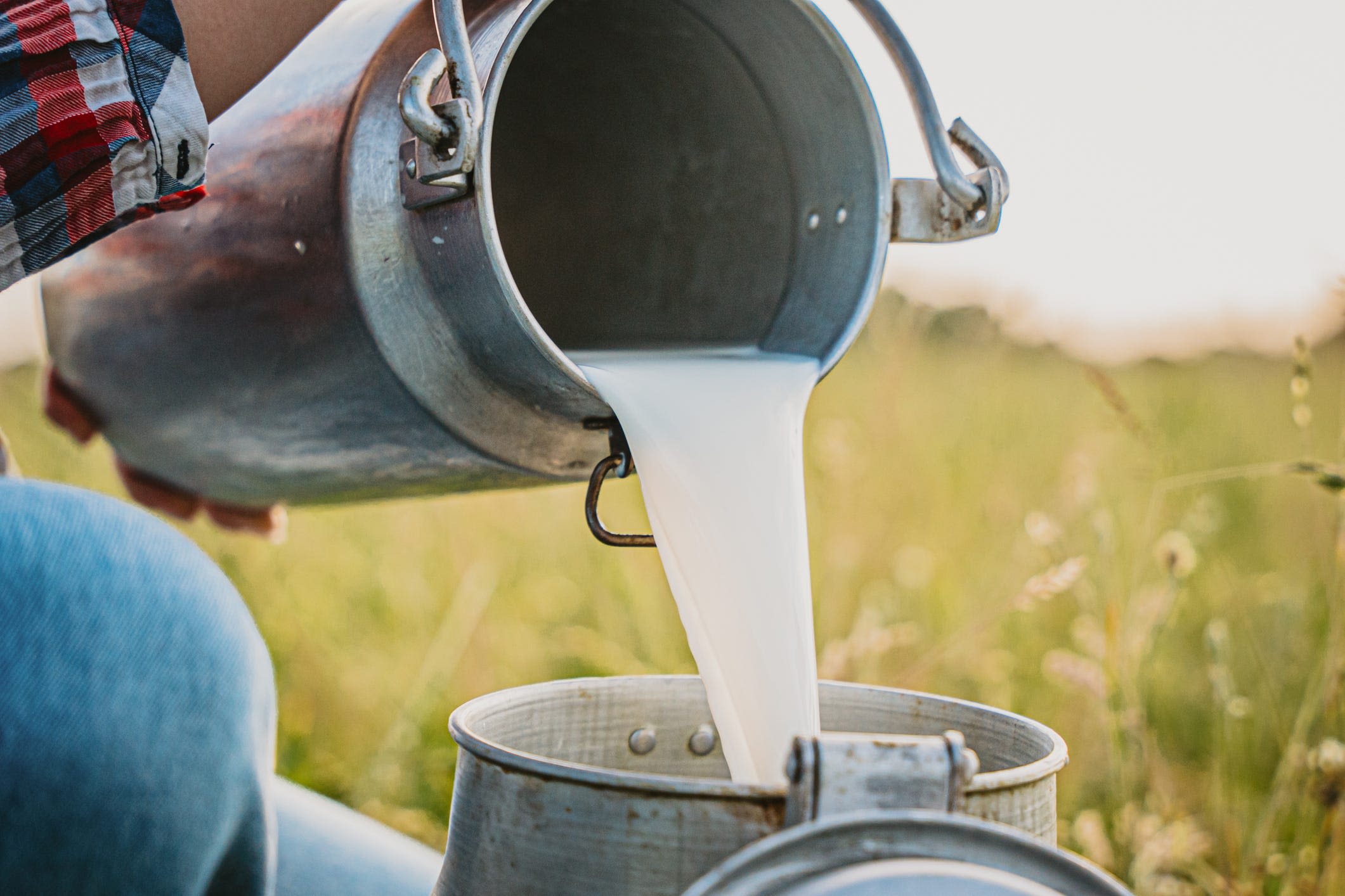 More than 100 people sickened by salmonella linked to raw milk from Fresno farm