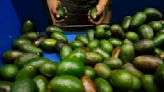 The U.S. and Mexico settle their avocado standoff — but not without a dig from the Mexican president