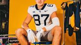 LSU transfer tight end Taylor commits to West Virginia football