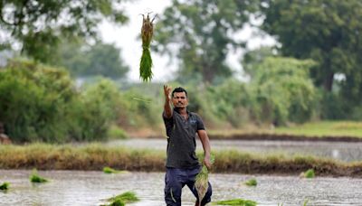 India's top private lenders see farm loan defaults rising amid weak rural economy