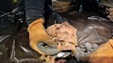 Skeletons missing hands and feet found in Hitler's Wolf's Lair