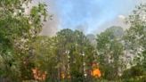 2 brush fires break out in Palm City