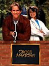 Gross Anatomy (film)