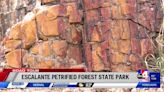 Escalante Petrified Forest State Park freezes geology in its tracks in Garfield County