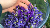 The Herbal Magic Of Violets And A Book Ban In Virginia, Inside Appalachia - West Virginia Public Broadcasting