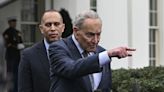 Schumer and Jeffries quietly pushed to delay virtual DNC vote to nominate Biden