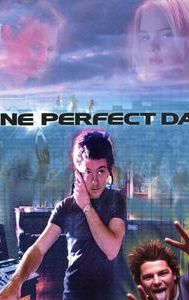 One Perfect Day