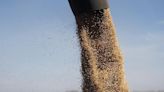 Bolsa reduz previsão de safra de soja da Argentina para 50,5 mi t Por Reuters