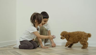 Animales en la familia sí o no: Una pediatra analiza los beneficios y los riesgos para la salud