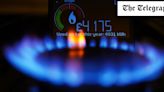 Every household should be forced to have a smart meter, says British Gas boss