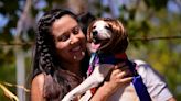 Perros disfrazados participan en el Carnaval de Río