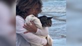 Never Too Old For Adventure: 20-Yr-Old Cat Sees The Ocean For The Very First Time