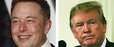 Donald Trump Stock DJT Vs. Elon Musk's Tesla. Which Is The Better Meme Stock?