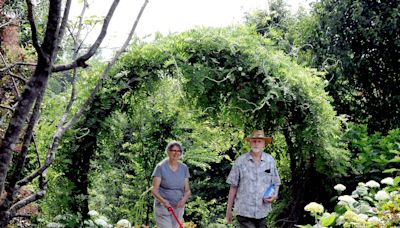 Get up and get moving at these scenic trails found in Wooster and Wayne County