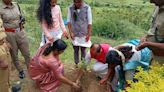 In a first, a college sets up a sandalwood garden on its campus