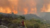 Arderam mais de 600 mil hectares na União Europeia