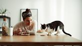 Woman divides the internet after not inviting friend to dinner party because of her stance on cats