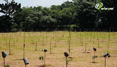 緯穎新植造林來了 獲中興大學支援、「碳權申請」有望
