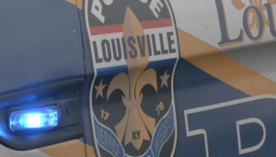 LMPD releases helicopter video of east Louisville car theft arrests