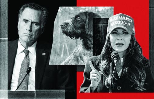 Kristi Noem’s Cricket, Mitt Romney’s Seamus, and the GOP dog problem - The Boston Globe