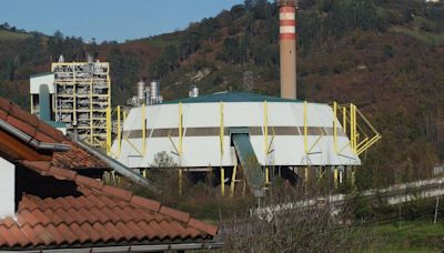 El TSJA admite a trámite el recurso de los ecologistas contra la quema de residuos en la térmica de La Pereda