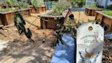 Oakland school garden built by Steph & Ayesa Curry's foundation vandalized