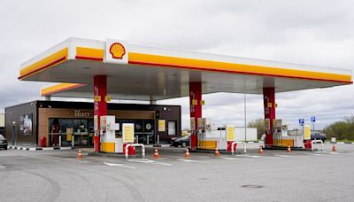 Shell takes billion dollar hit as it pauses building of biofuels plant