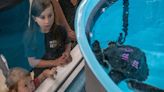 Texas State Aquarium: New Wildlife Rescue Center open, free to public