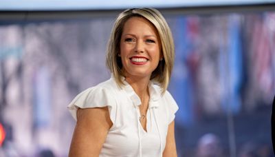 'Today' Fans Rush to Defend Dylan Dreyer Over Divisive Plane Photo on Instagram