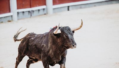 Man gored by bull in southern Utah ghost town