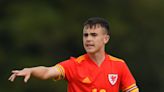 Luke Harris earns chance to impress Wales ahead of World Cup