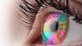 Rare Retinal Cells May Hold the Key to True Color Perception