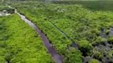 Culpan a obras del Tren Maya de inundaciones en Bacalar