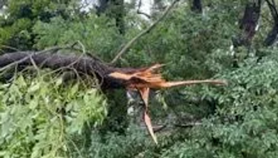 National Weather Service confirms EF-1 Tornado Saturday in Fairhope