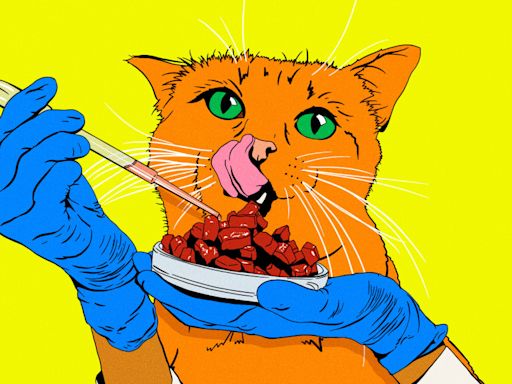 Lab-Grown Meat for Your Cat Is Coming to the U.S. This Year