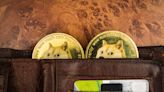 Dogecoin Price Predictions: Where Could Twitter Payments Take DOGE?