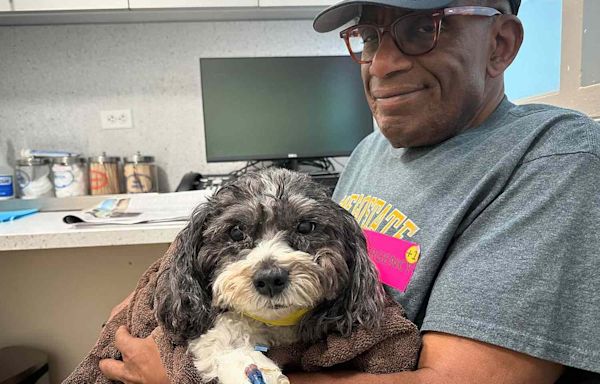 Al Roker Skips the “Today” Show as His Dog Recovers from Emergency Surgery: ‘She’s Getting Great Care’