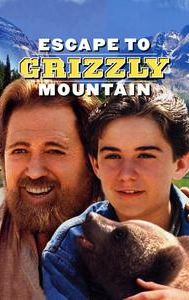 Escape to Grizzly Mountain