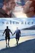 Saltwater (2012 film)