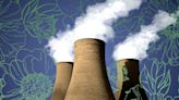 Is Nuclear Energy Having a Renaissance?