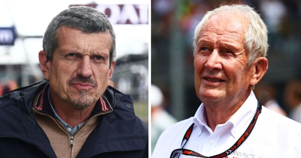 Helmut Marko calls out Guenther Steiner for 'unfair treatment' of in-demand star