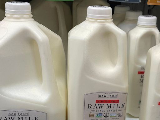 Raw milk containing bird flu virus infects mice in study