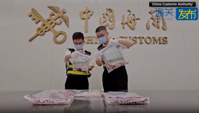 Man stopped at Hong Kong customs with 100 live snakes down his pants