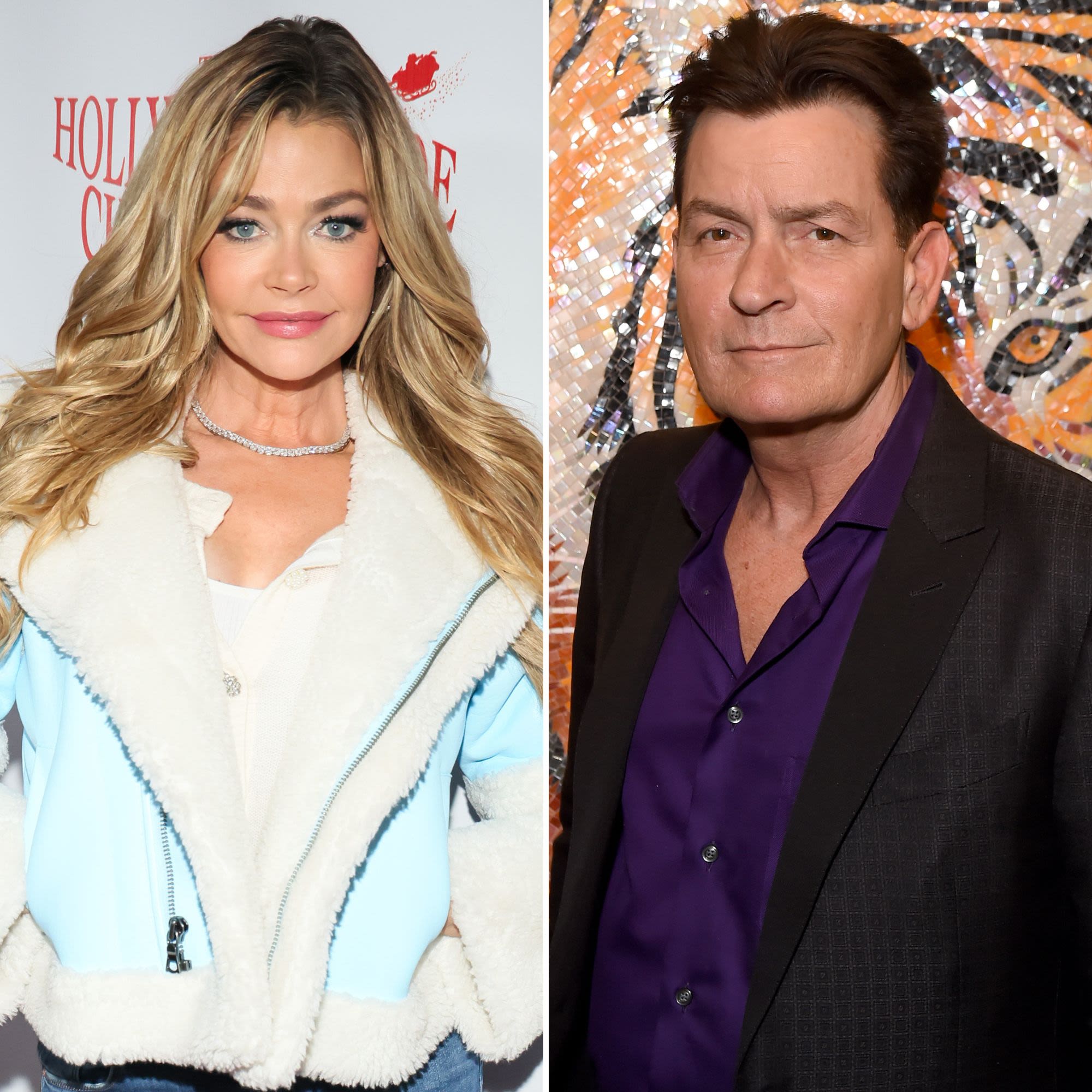 Charlie Sheen Wants ‘Nothing to Do With’ Ex Denise Richards’ New Reality Show