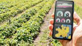 Agritech firms turn to private labels to improve revenue, margins