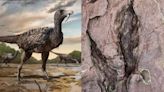 Fossilized Dino Footprint Points to One of the Largest Raptors Ever Discovered