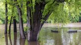 Highways close as rivers rise across southern Minnesota. More storms in forecast