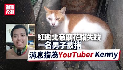 紅磡北帝廟花貓「樂樂」打風時失蹤 一名男子被捕消息指為YouTuber Kenny | am730